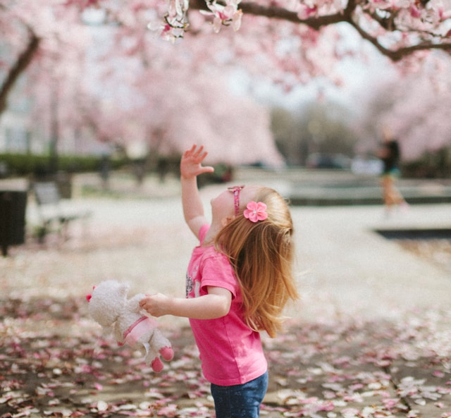 a little girl reaching out to cherry blossoms, holding a teddy bear.